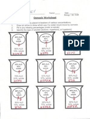 Osmosis Beaker Key PDF Osmosis Cell Biology Worksheets Library