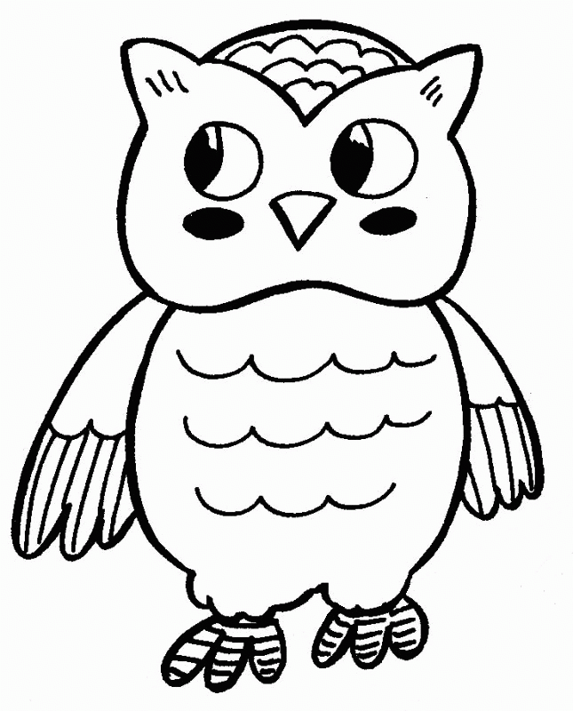 Coloring Owl Pages