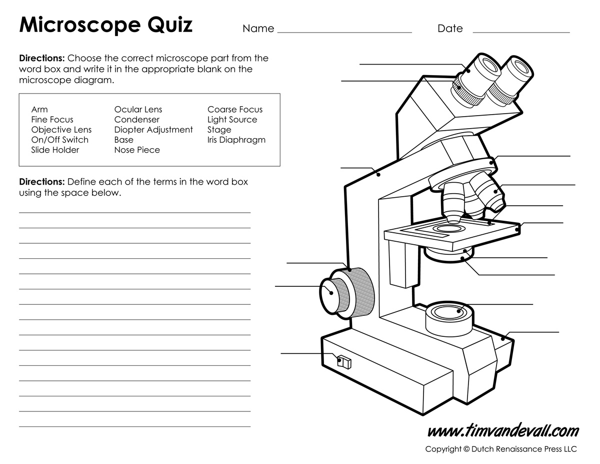 compound light microscope parts and functions worksheet pdf