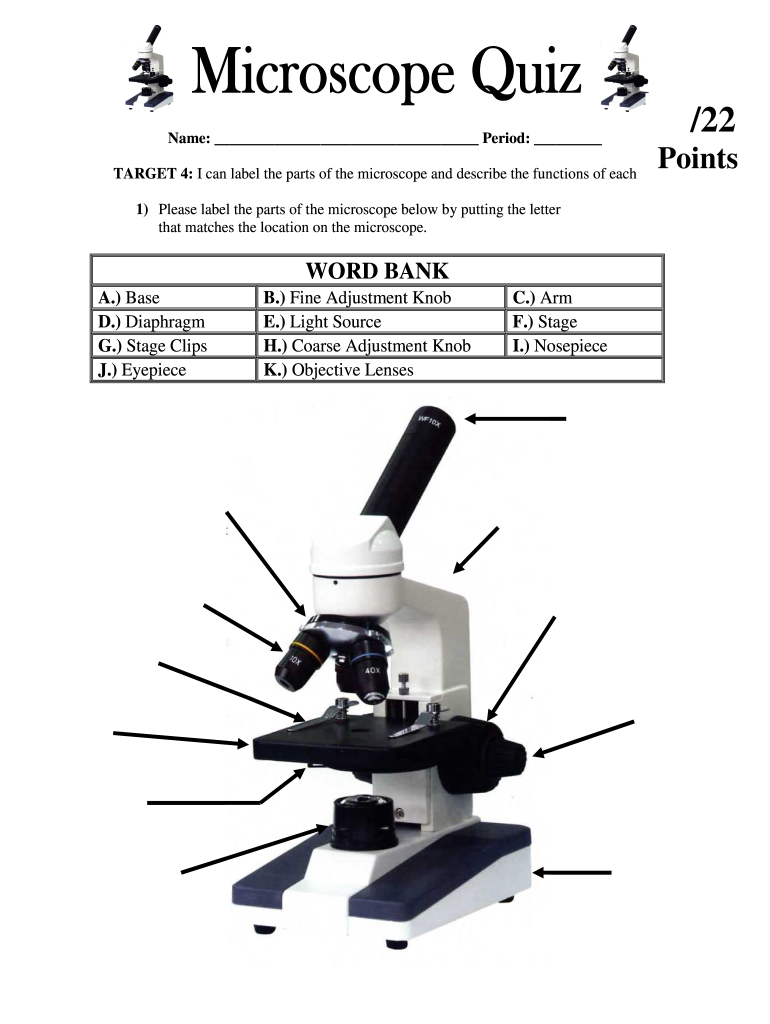 Parts Of A Compound Light Microscope Worksheet