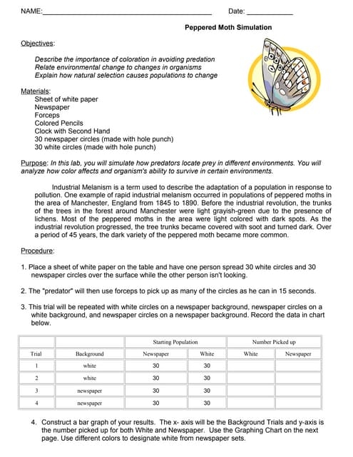 Peppered Moth Simulation PDF Evolutionary Biology Biological 