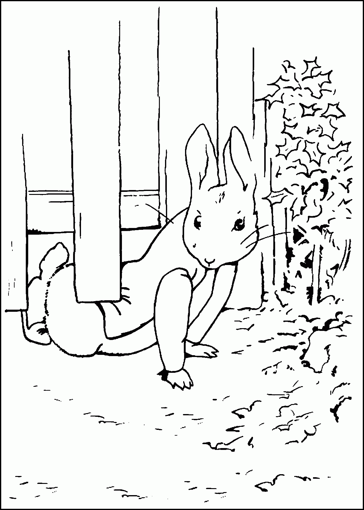 rabbit coloring pages free printable