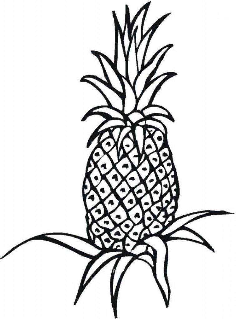 Pineapple Coloring Page Coloring Home