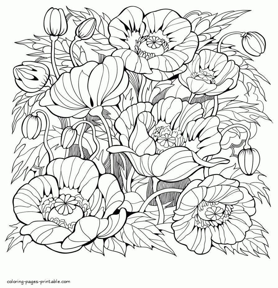 Pretty Flower Coloring Pages Adult Coloring Pages The Best Porn Website