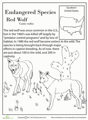 Printable Endangered Species Worksheet Pdf