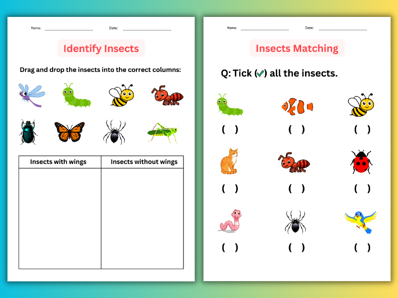 Printable Insects Worksheet For Kindergarten Identify And 