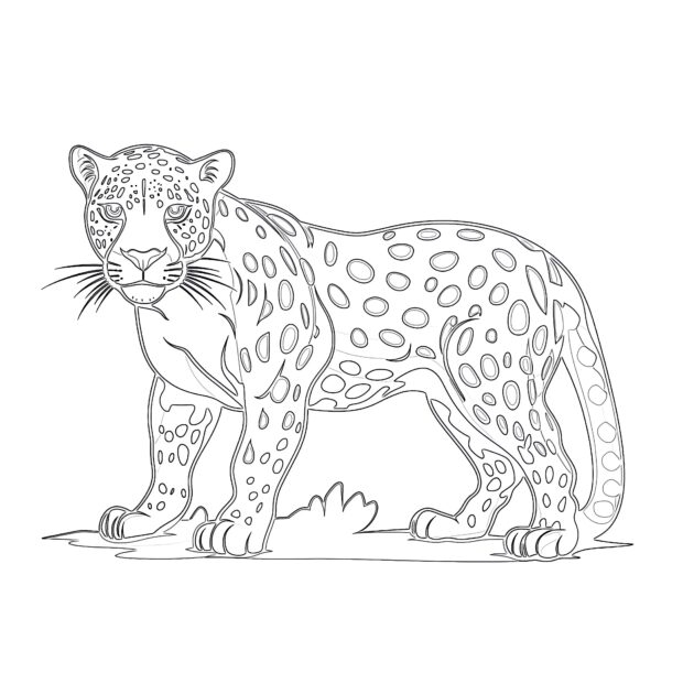 printable jaguar pictures