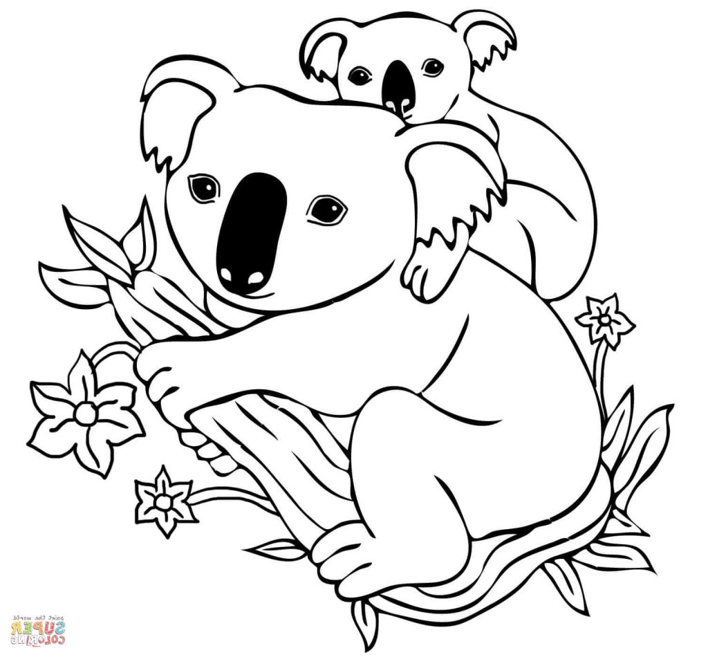 printable koala pictures