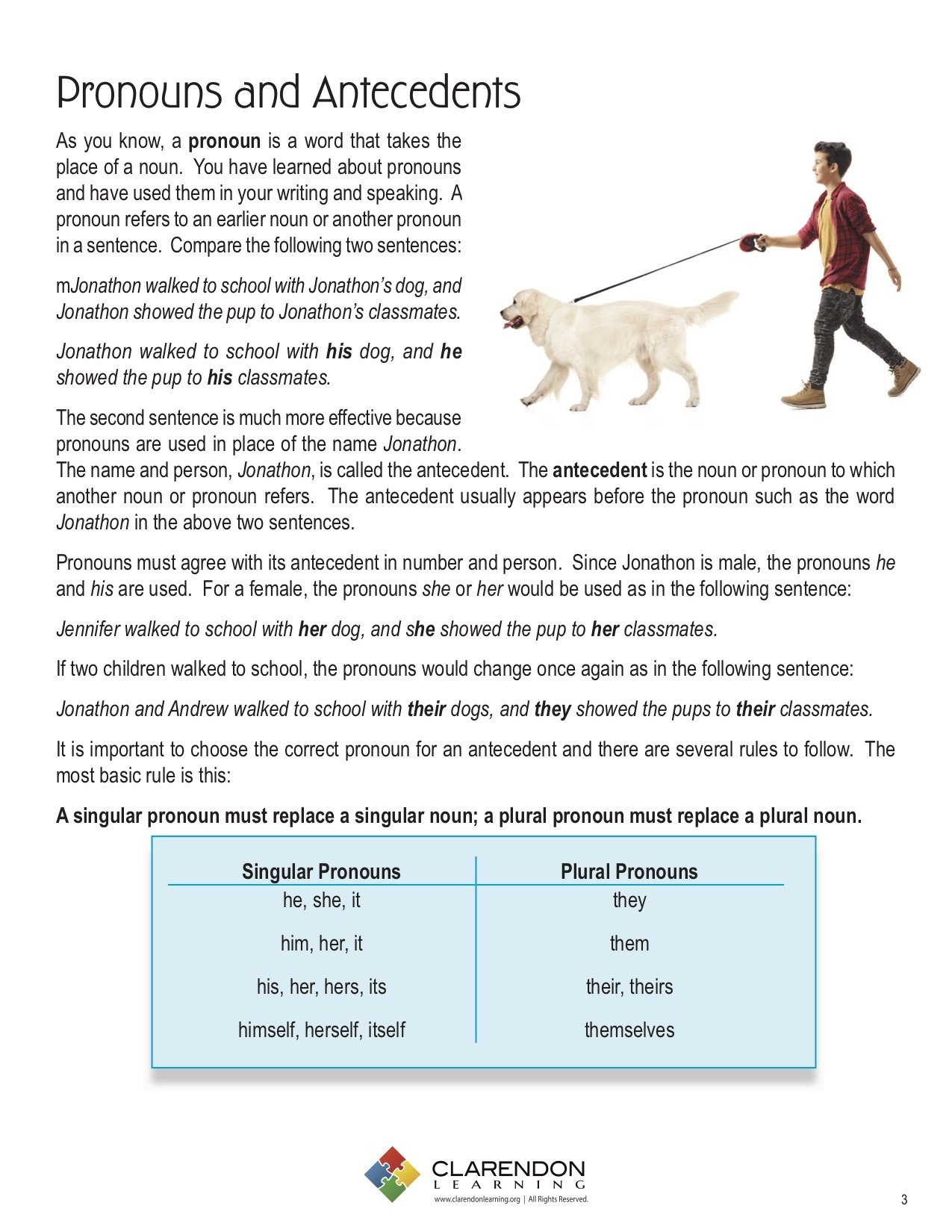 Pronoun Antecedent Agreement Worksheet Pronoun Antecedent Agreement 