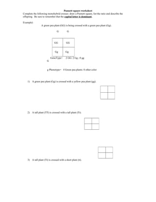 Punnett Square Worksheet PDF Worksheets Library
