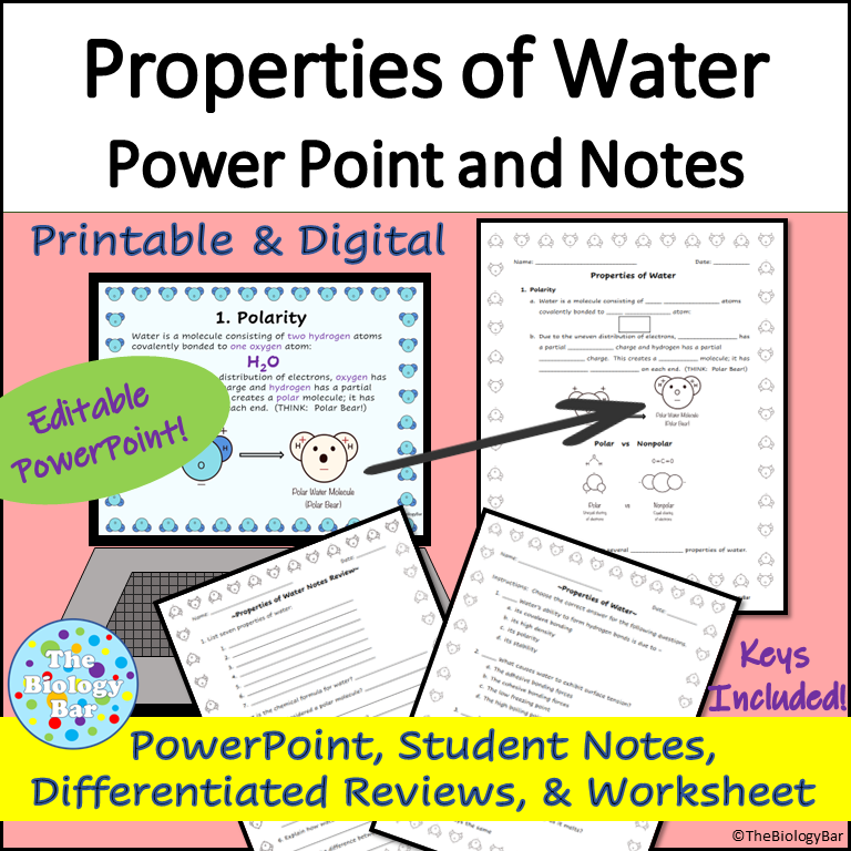 Reading The Polarity Of The Water Molecule Wonderful Water