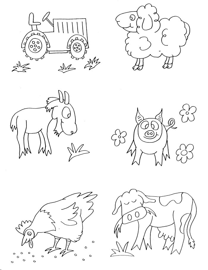 Real Animal Coloring Pages Coloring Home