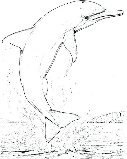 Realistic Animal Coloring Pages At GetDrawings Free Download