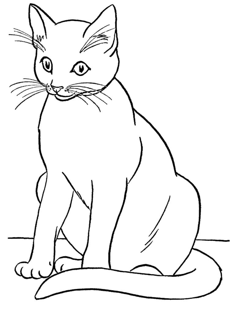 Cat Printable Coloring Pages