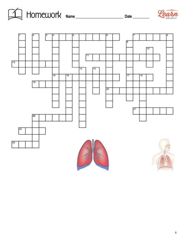 Respiratory System Free PDF Download Learn Bright Worksheets Library