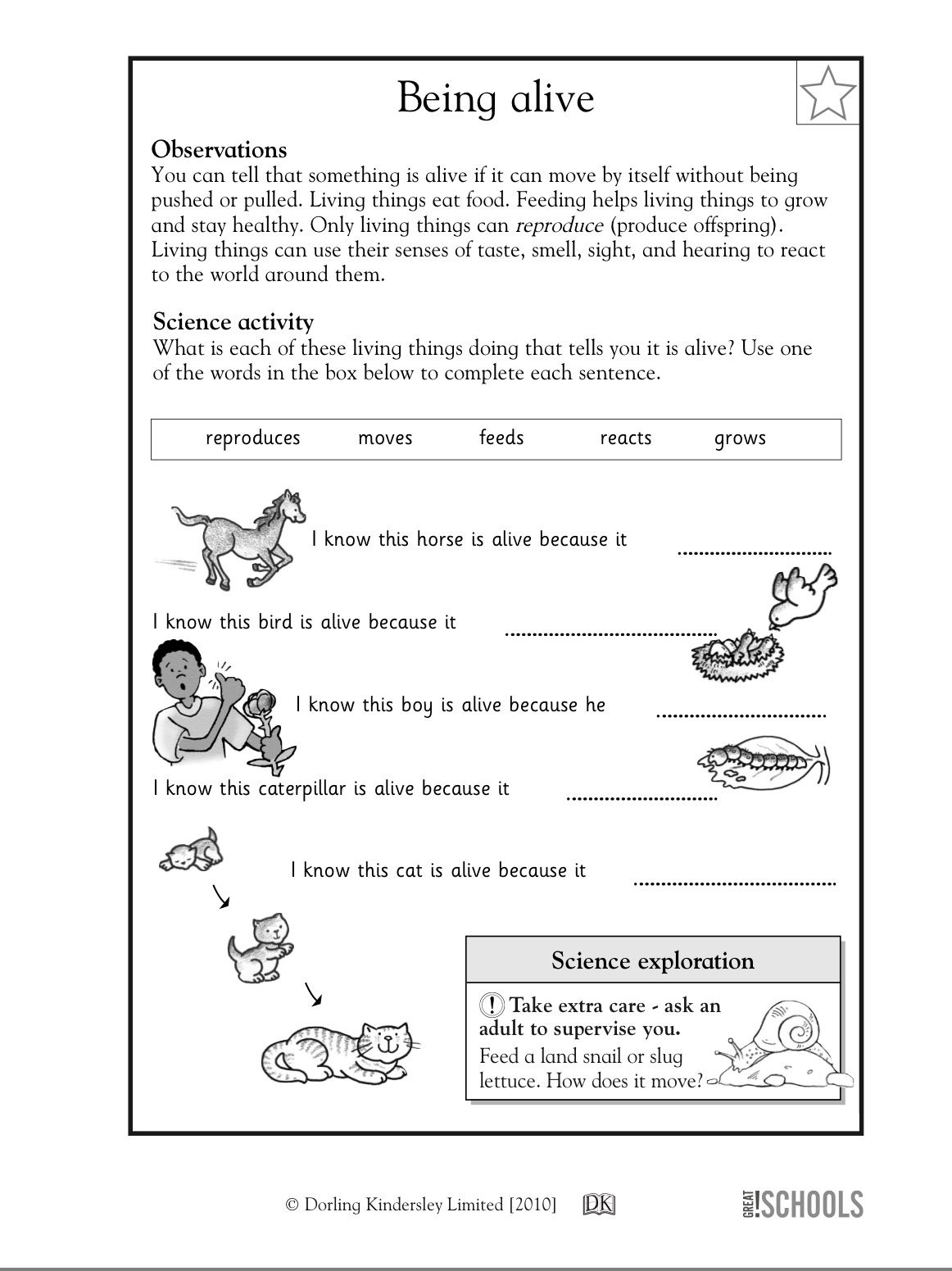 printable science worksheets for grade 3