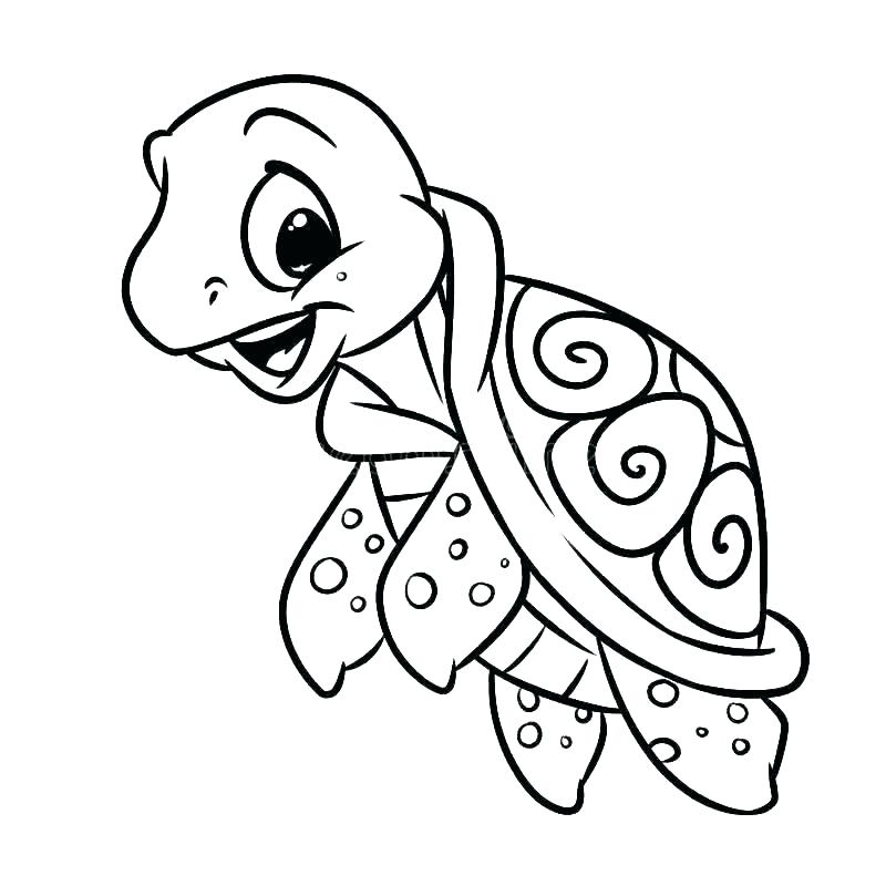 Sea Turtle Color Page