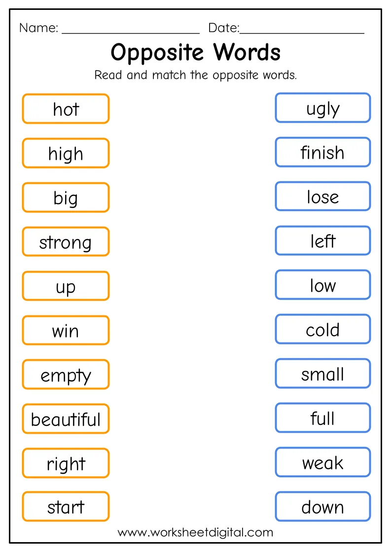 Second Grade Antonym Opposites Activity USA Worksheets Library