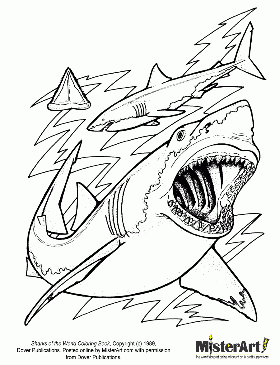 Shark Coloring Pages 18 Coloringkids