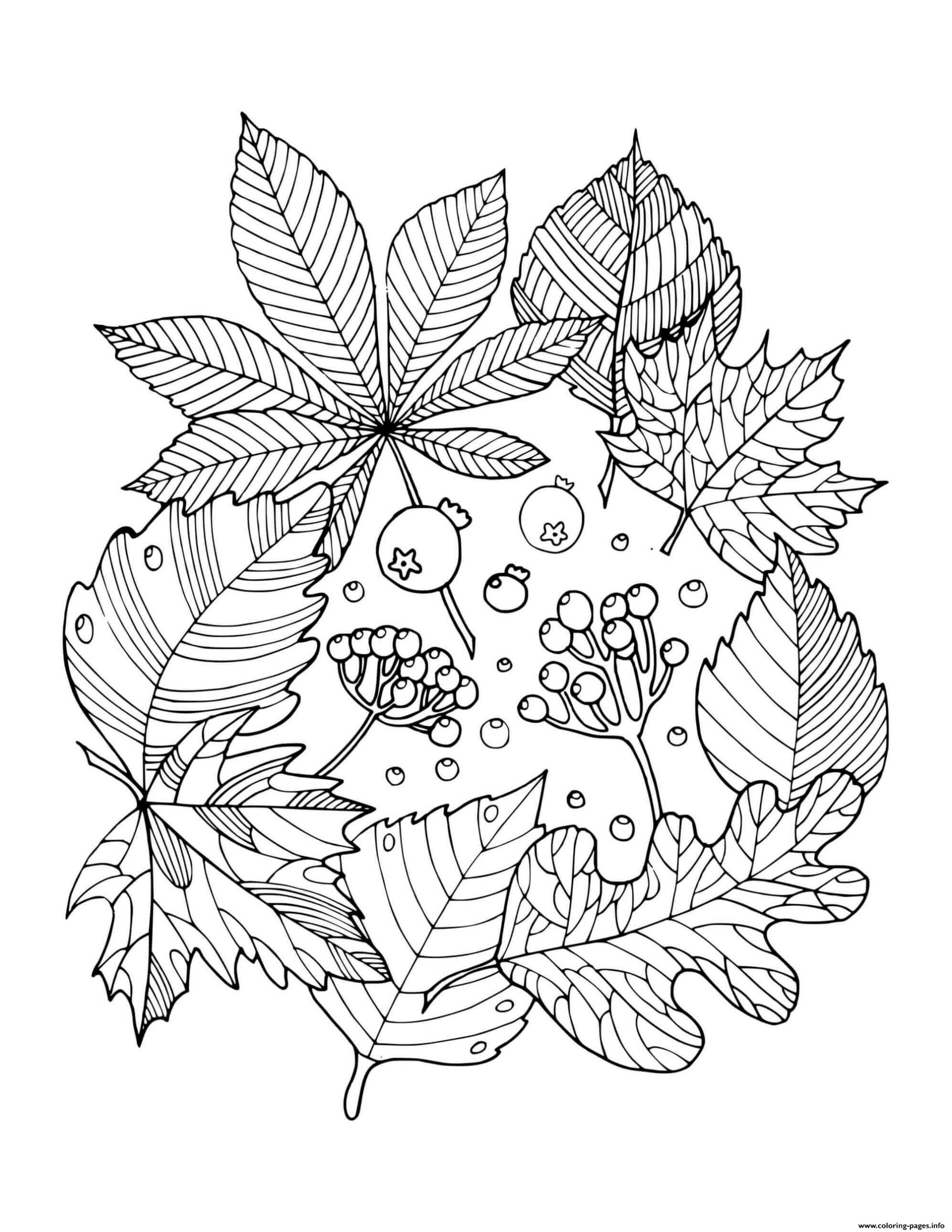 free printable coloring pages autumn