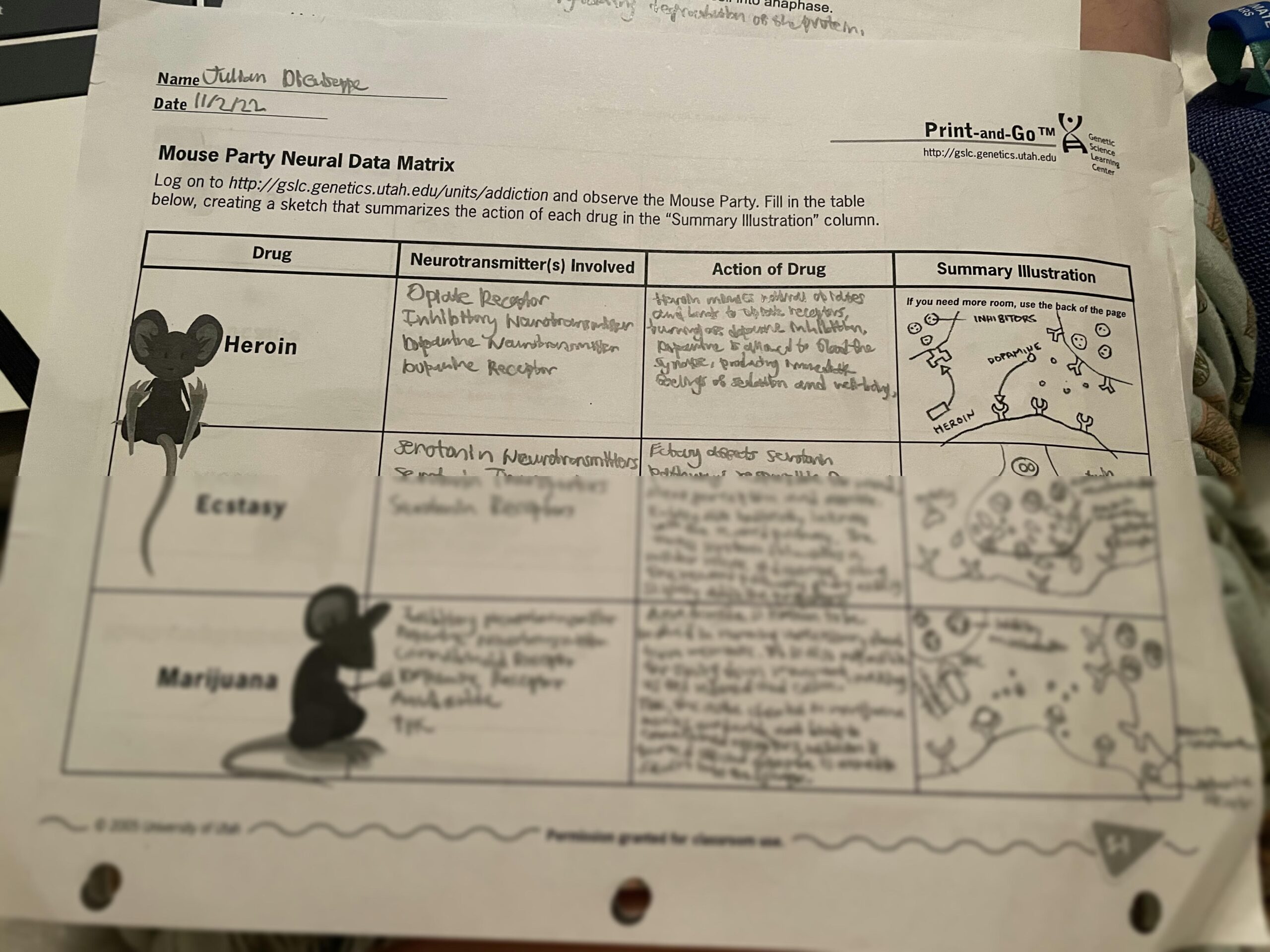 SOLUTION Img 3327 Studypool Worksheets Library