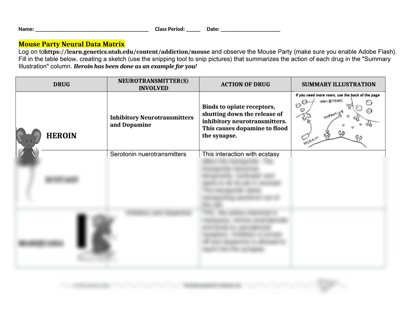 SOLUTION Mouse Party 19 20 Studypool Worksheets Library