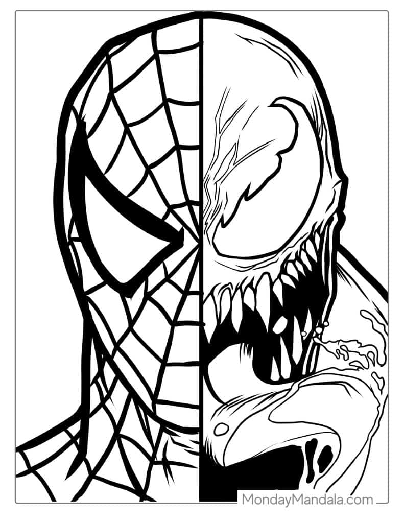 The Colorful World Of Color Pages Spiderman