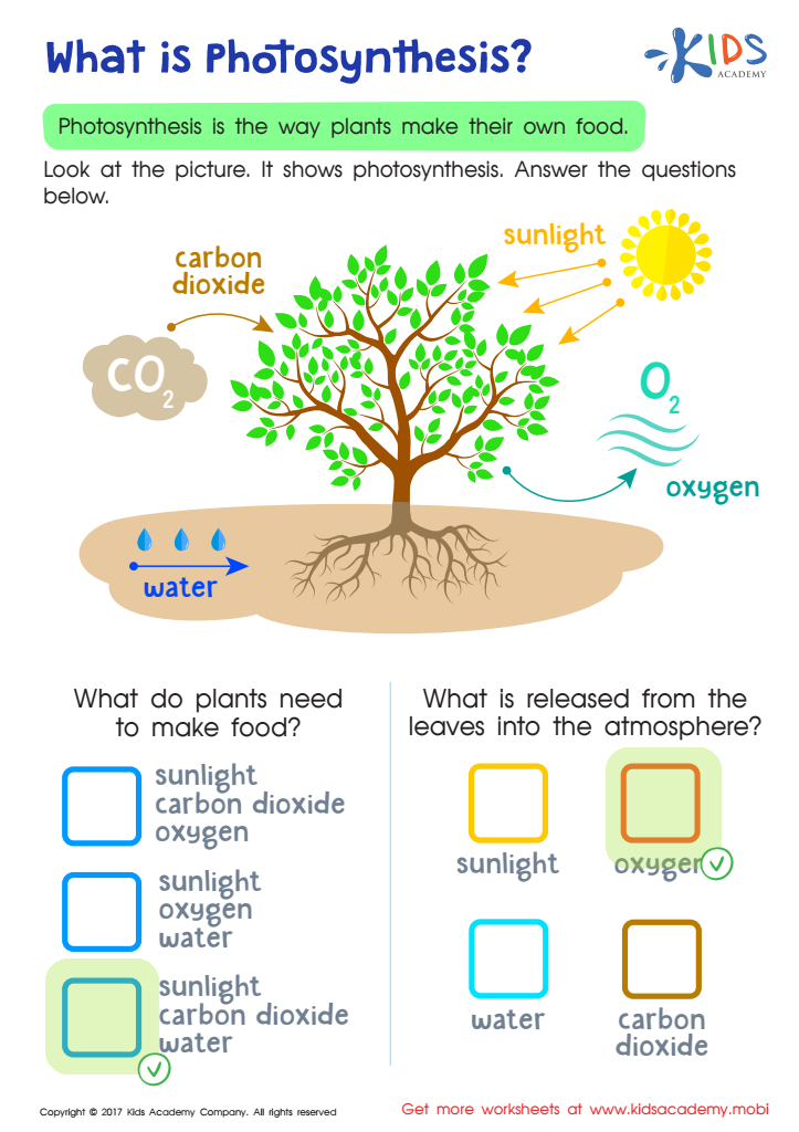 printable worksheet for grade 6
