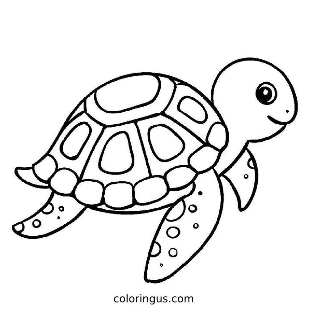 Turtle Coloring Pages Free Printable PDF
