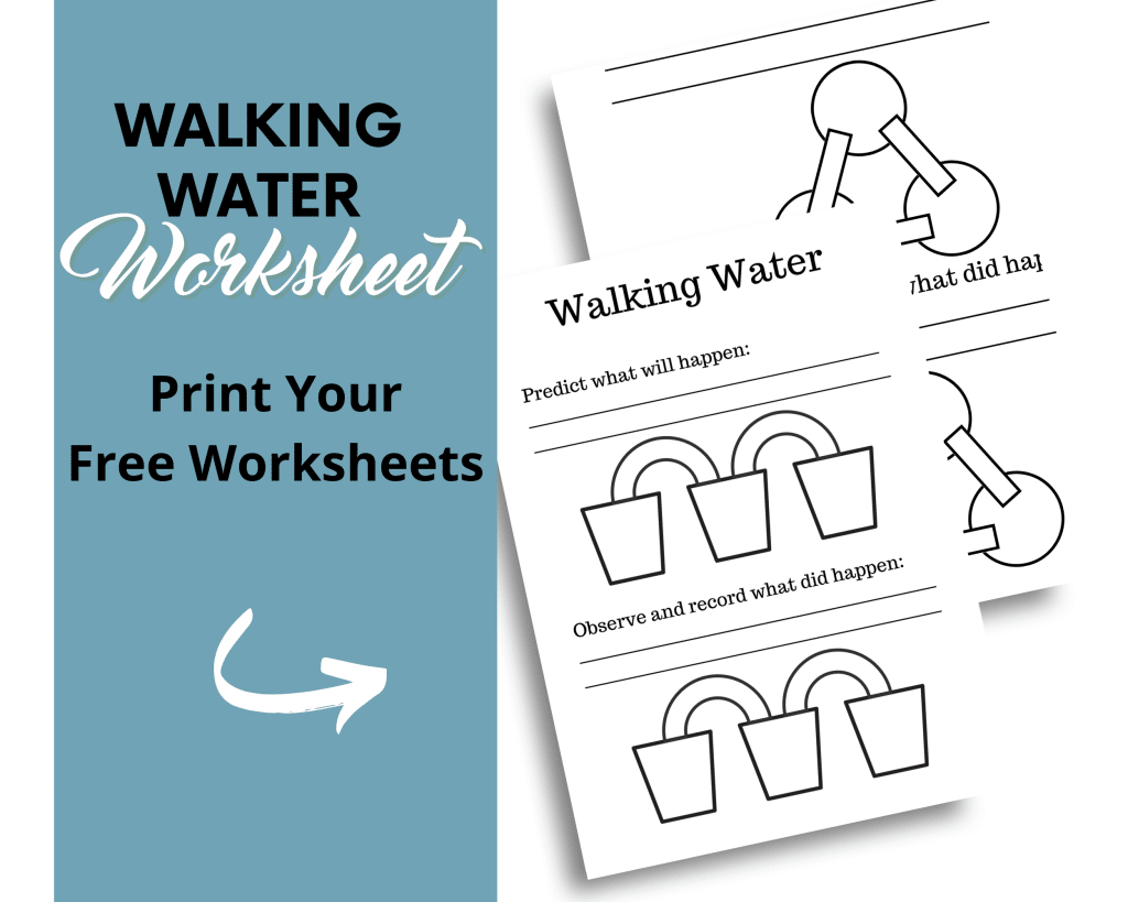 Walking Water Experiment Lesson Plan Worksheets Library