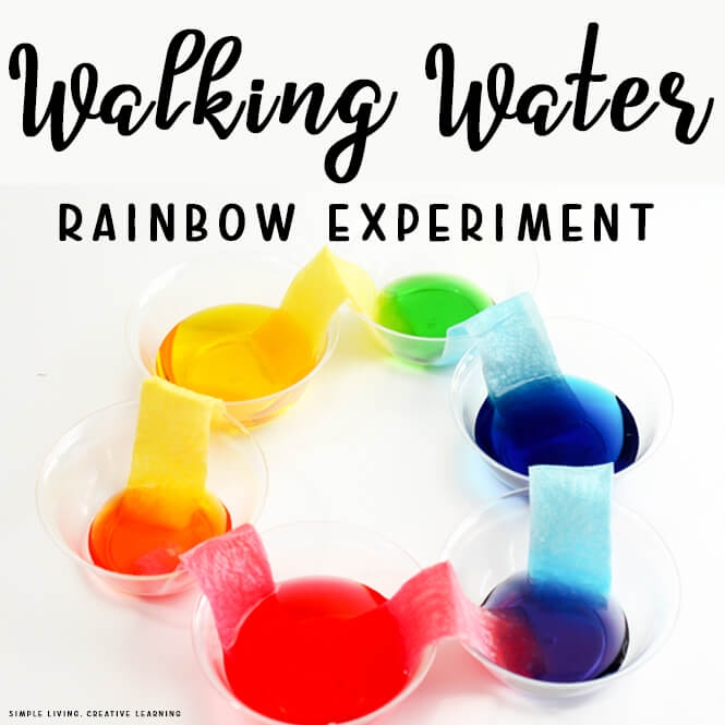 Walking Water Rainbow Experiment Simple Living Creative Learning 