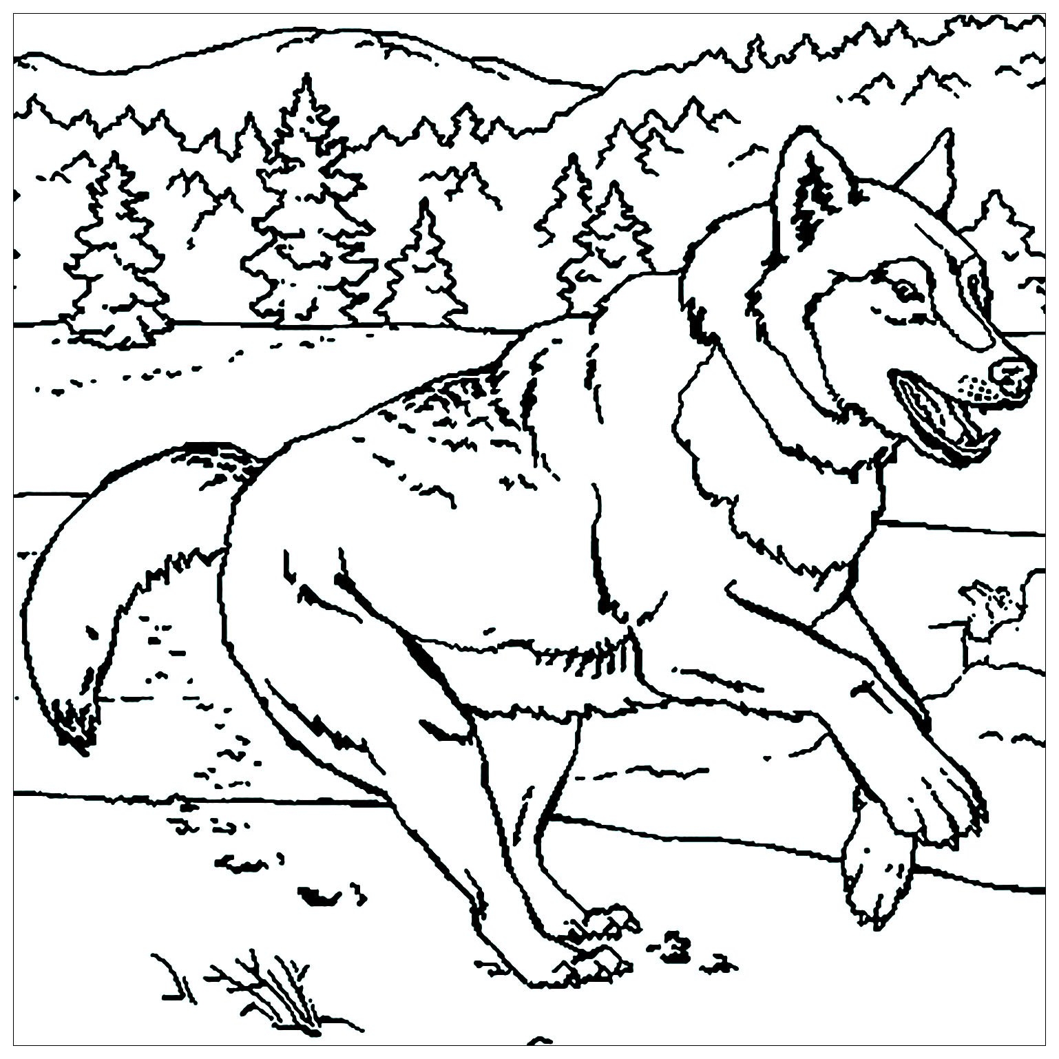 Wolf Printable Coloring Pages