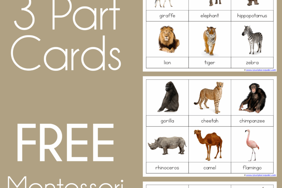 African Animals Montessori Printables FREE 3 Part Cards 1 1 1u003d1