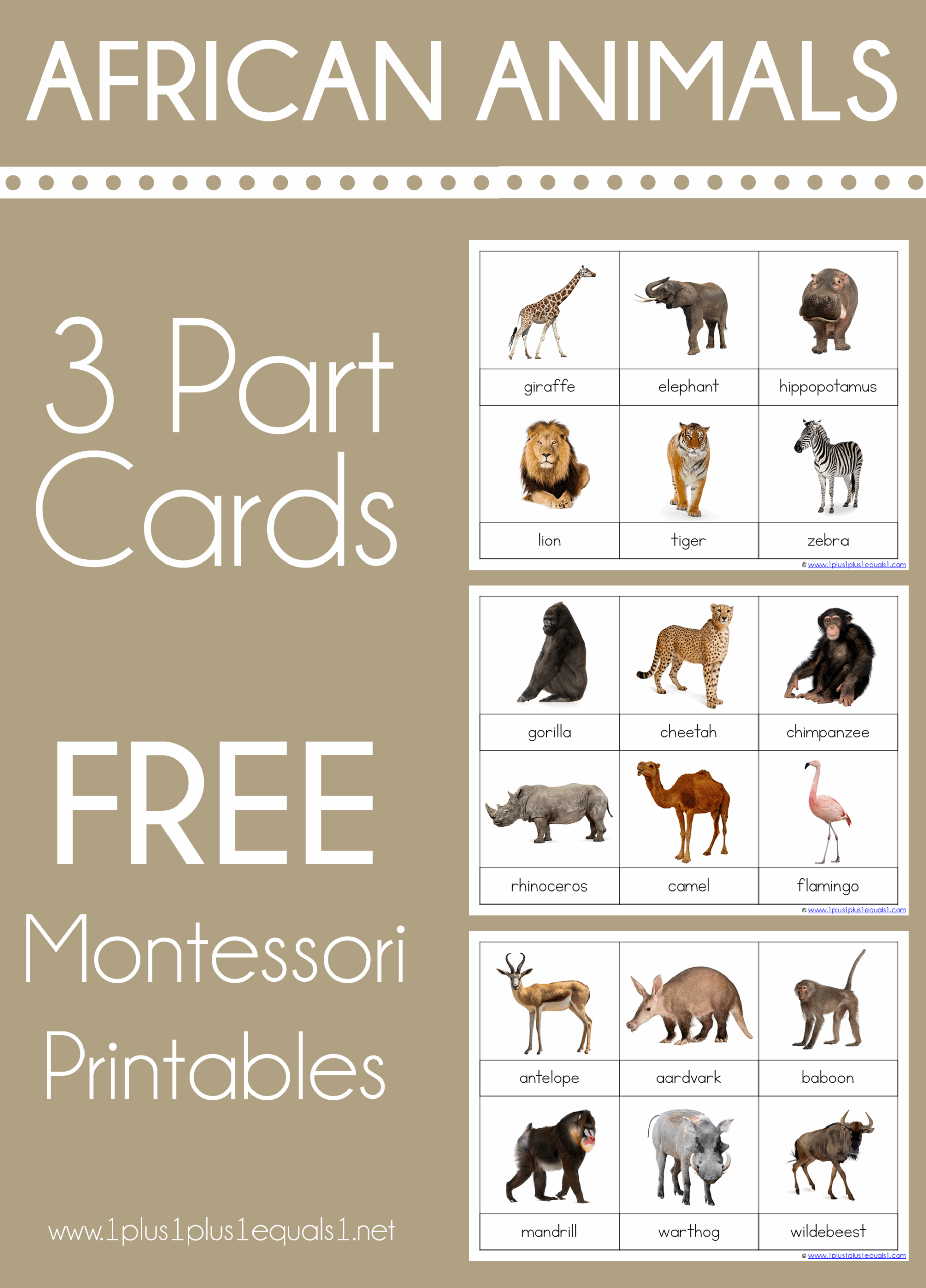 African Animals Montessori Printables FREE 3 Part Cards 1 1 1u003d1