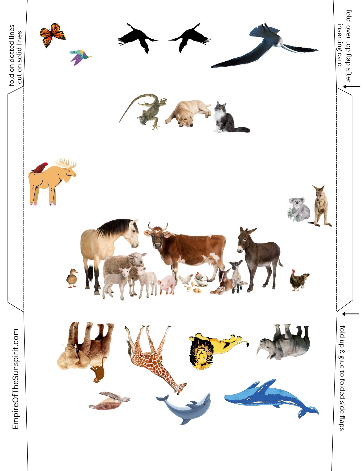 Animal Birthday Cards Lara De Ann