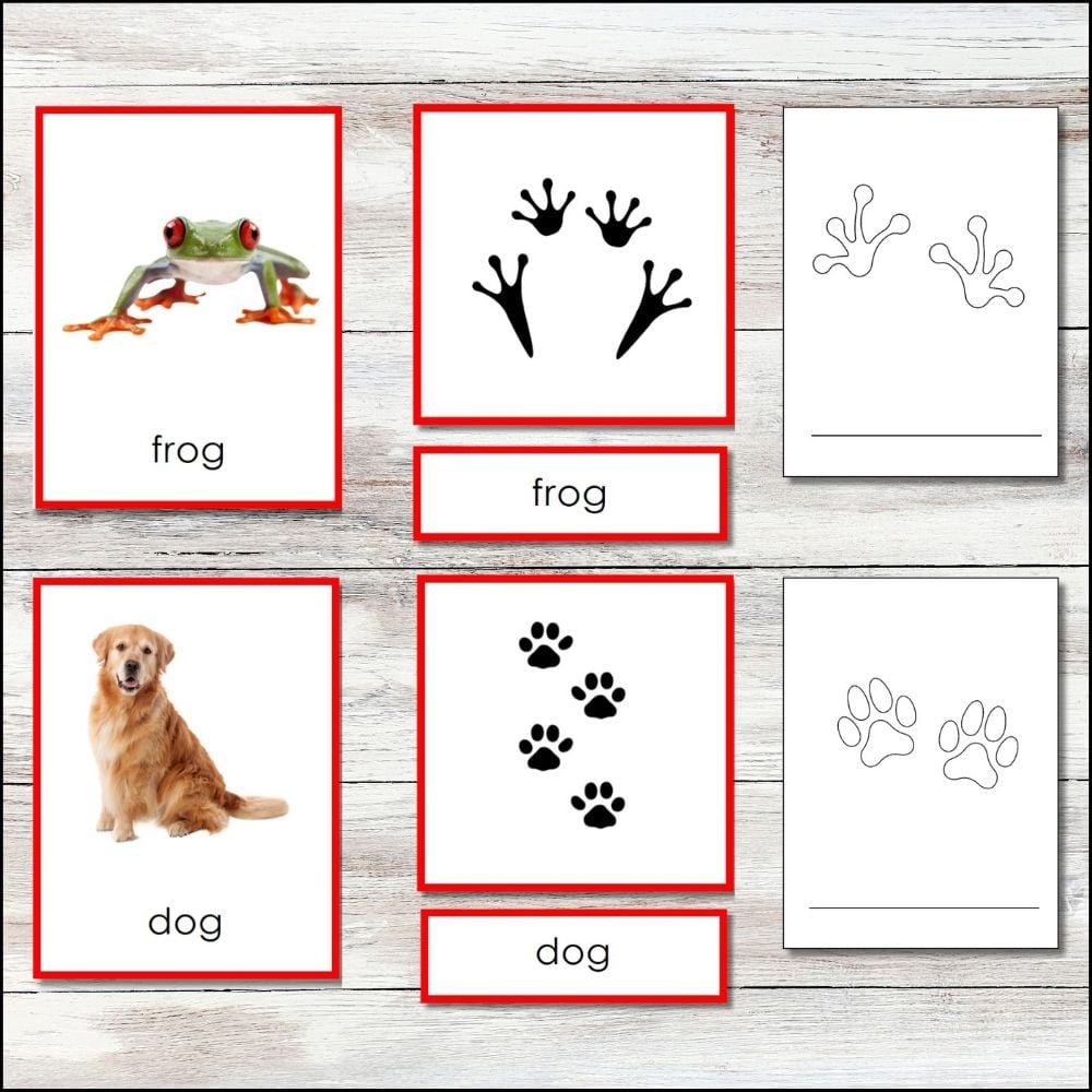 Animal Tracks Printable Nature Curriculum In Cards