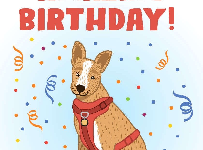 Birthday Cards For Kids PETA Kids