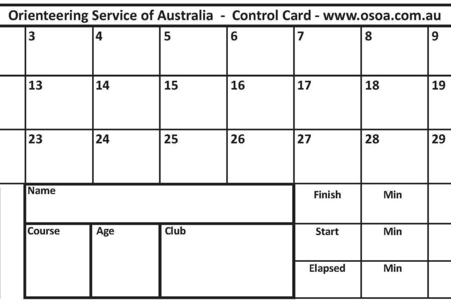CONTROL CARDS 30 Punch Squares pack Of 100