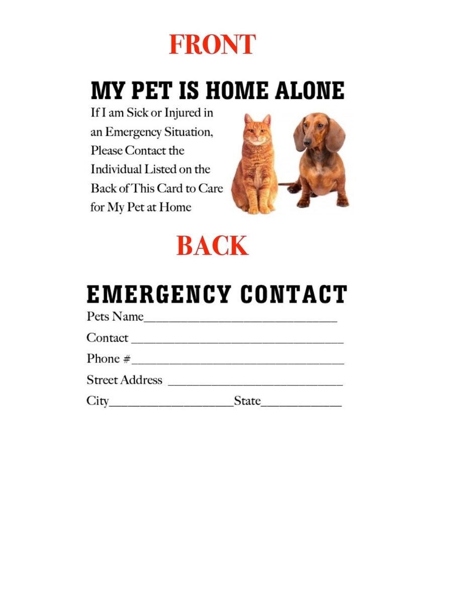 my pet is home alone card printable