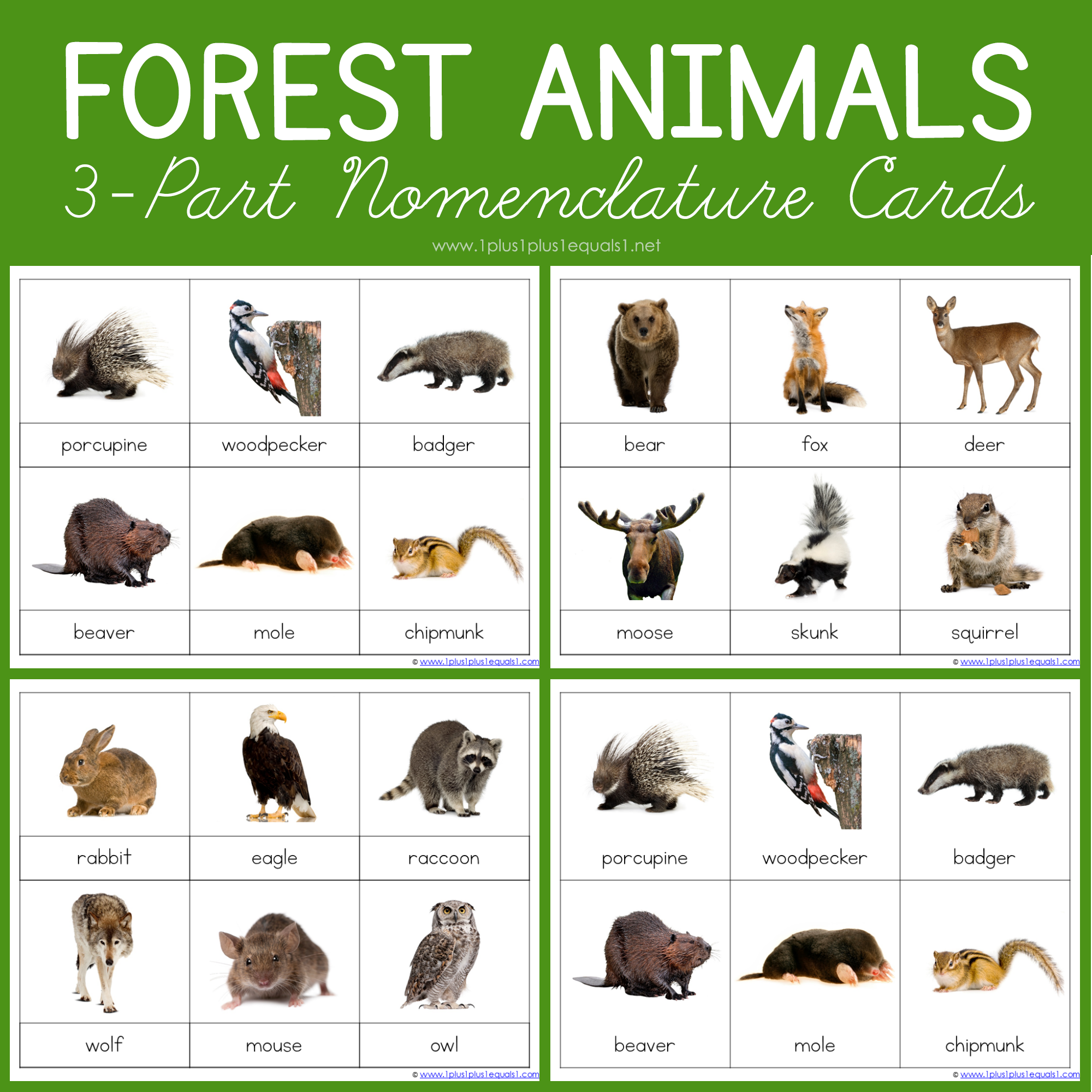 Forest Animals Montessori Printables FREE 3 Part Cards 1 1 1u003d1