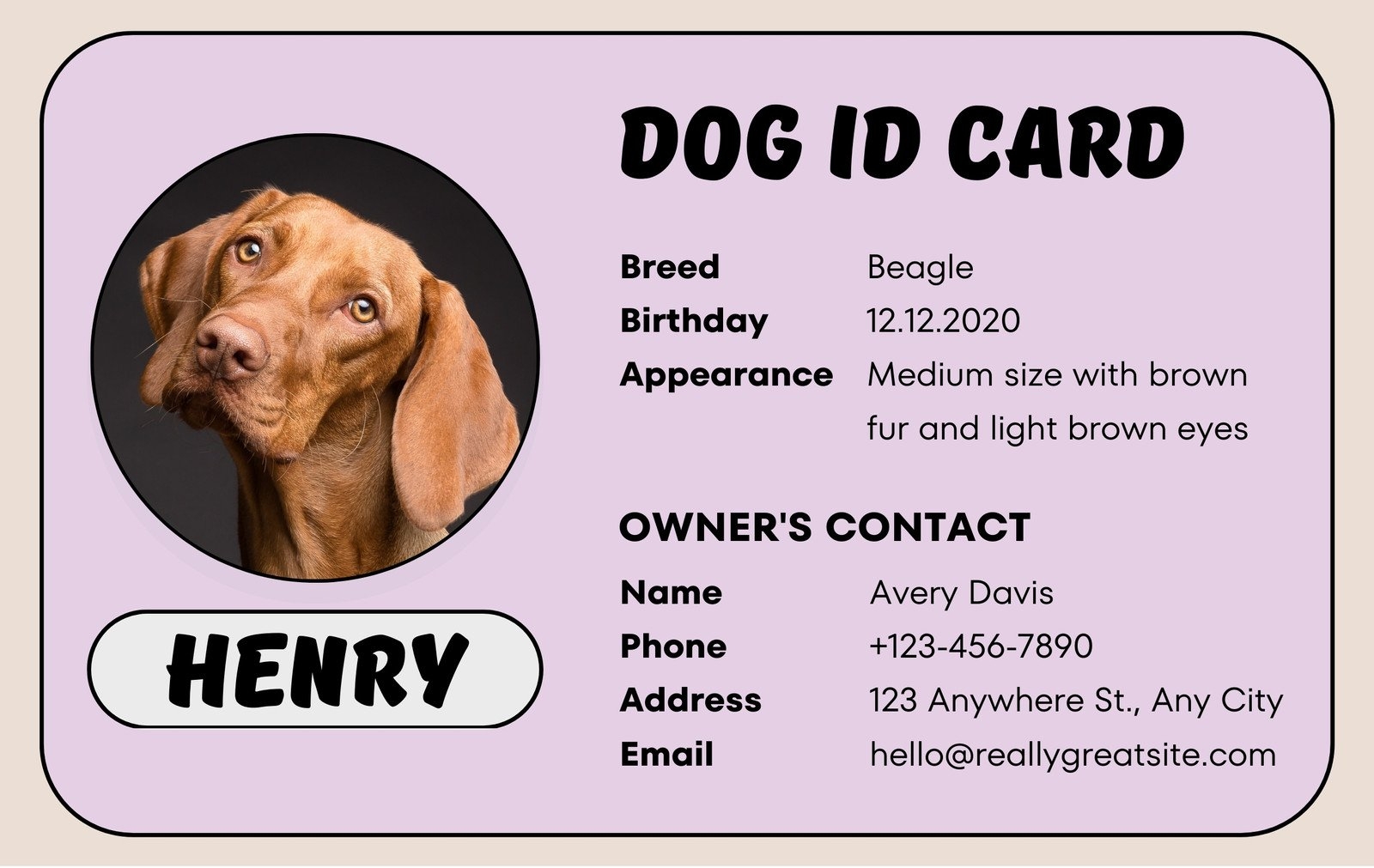 Free Custom Printable Dog ID Card Templates Canva