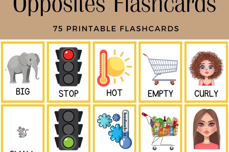 Opposites 75 Printable Flashcards Etsy