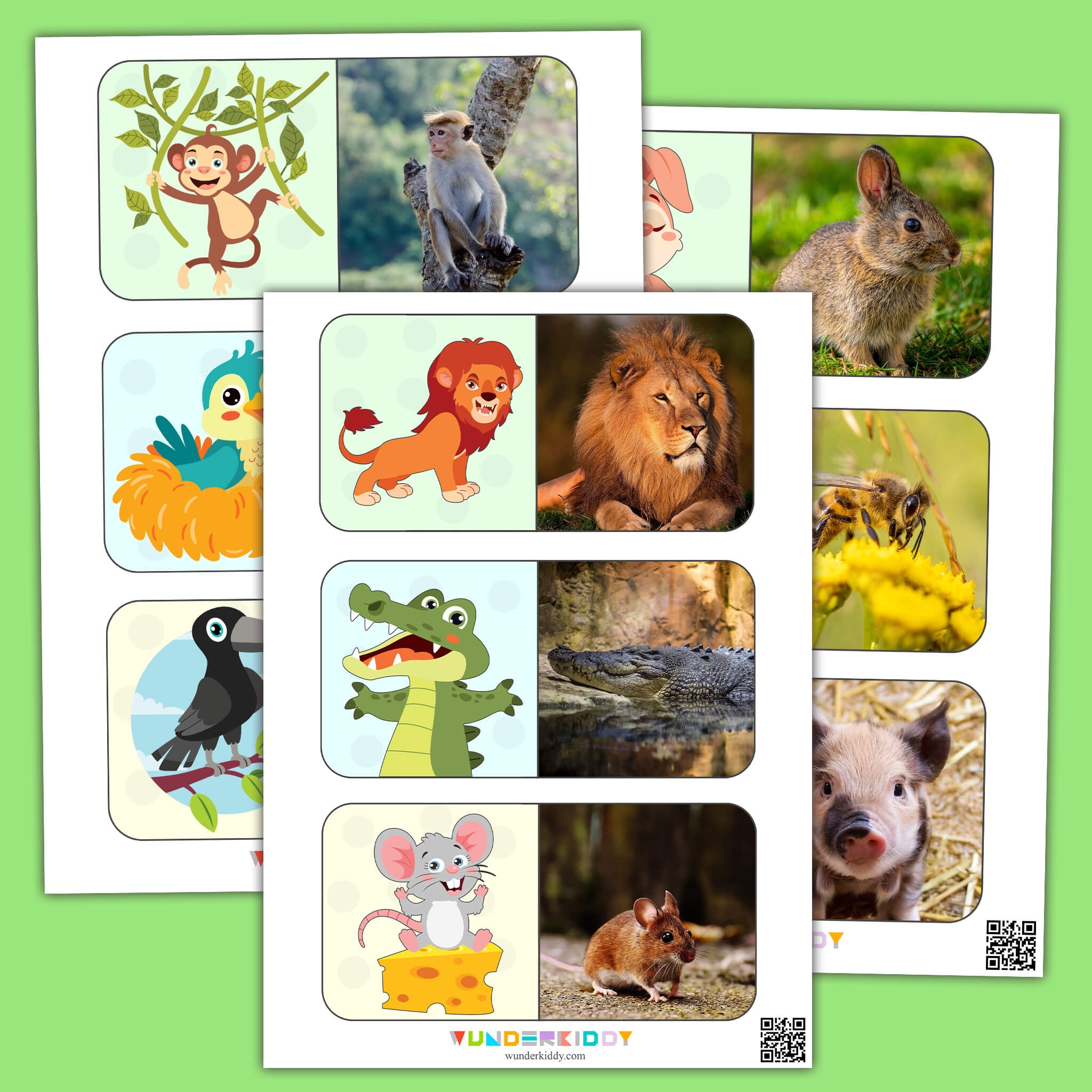 montessori animal cards printable