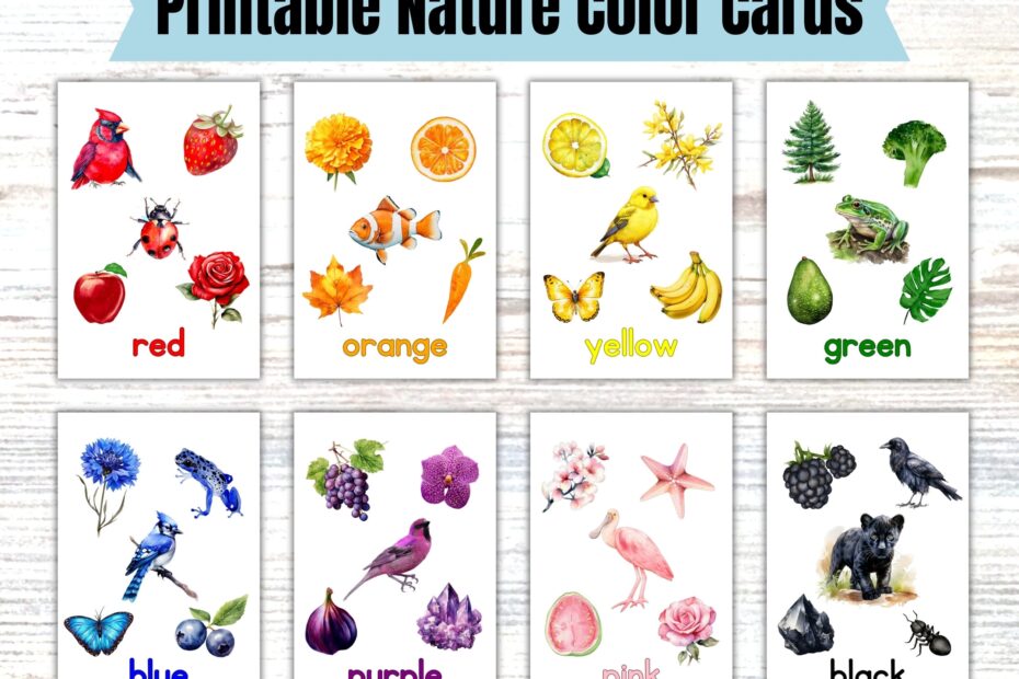 Printable Nature Color Flashcards Digital Download 11 Nature Color Cards Toddlers Preschool Montessori Homeschool Printables Flash Cards Etsy
