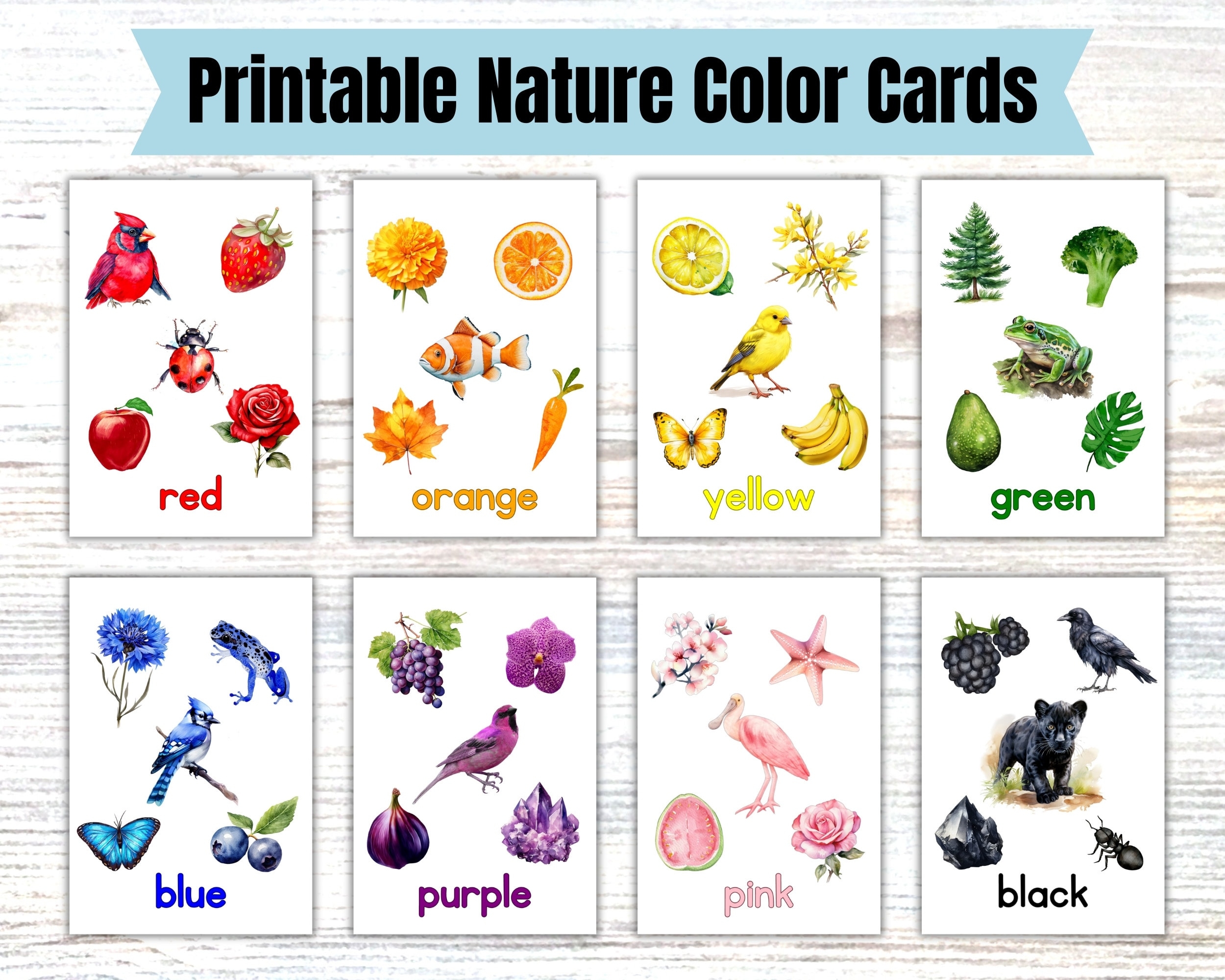 Printable Nature Color Flashcards Digital Download 11 Nature Color Cards Toddlers Preschool Montessori Homeschool Printables Flash Cards Etsy