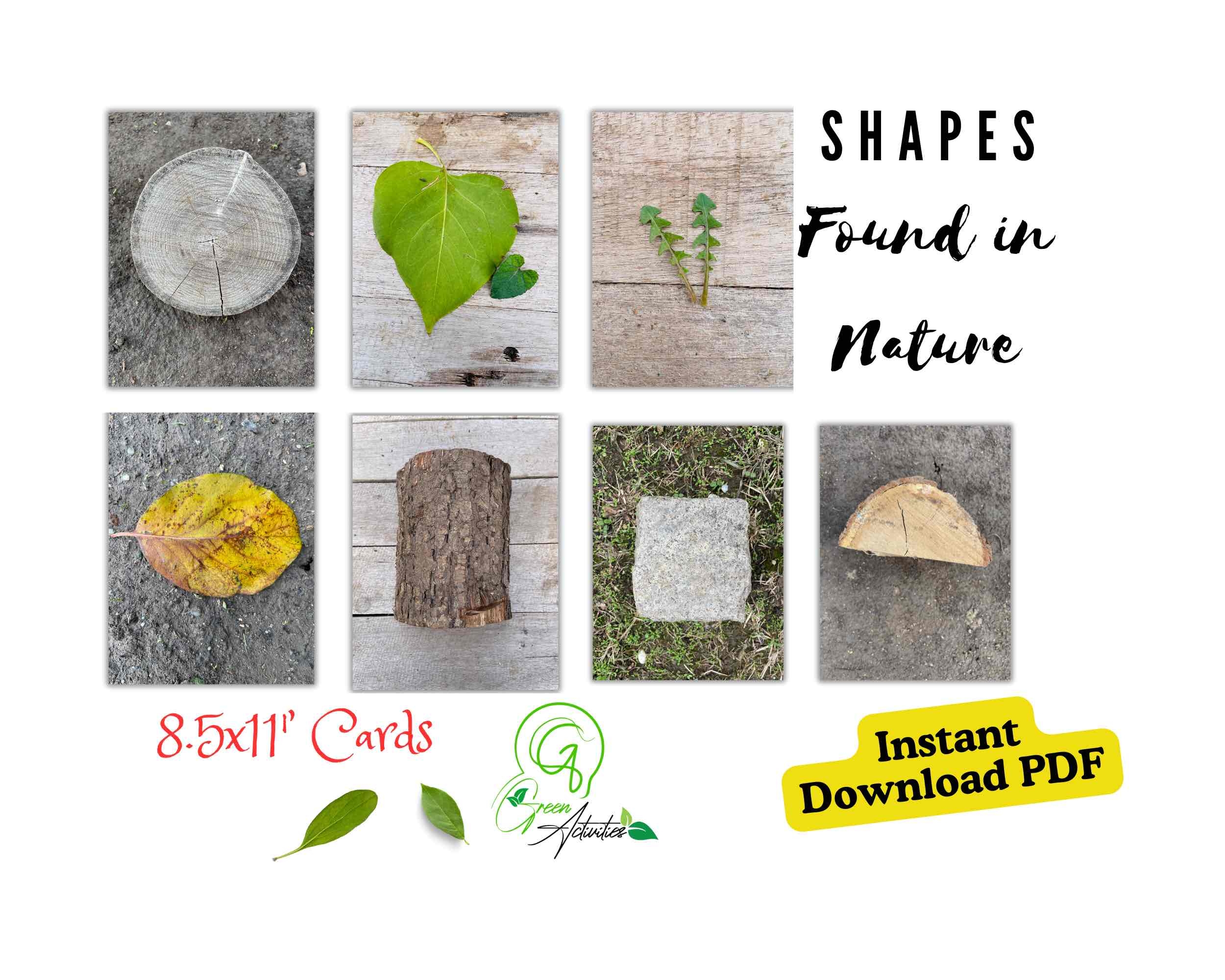 nature cards printable