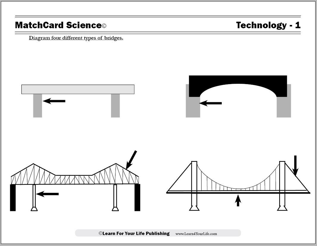 printable types of bridges worksheet pdf
