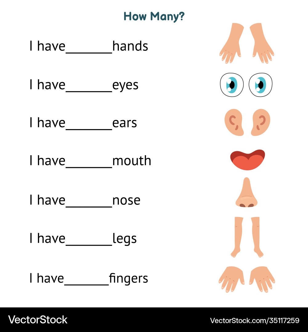 parts of a body worksheet