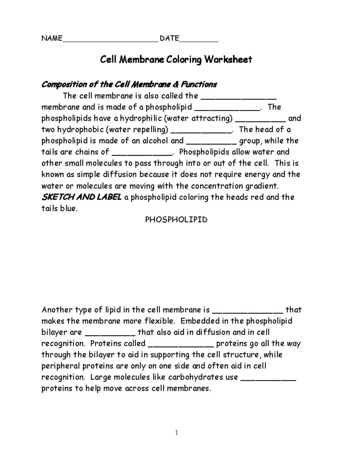 Cell Membrane Worksheet NAME DATE Cell Membrane Coloring Worksheet Studocu