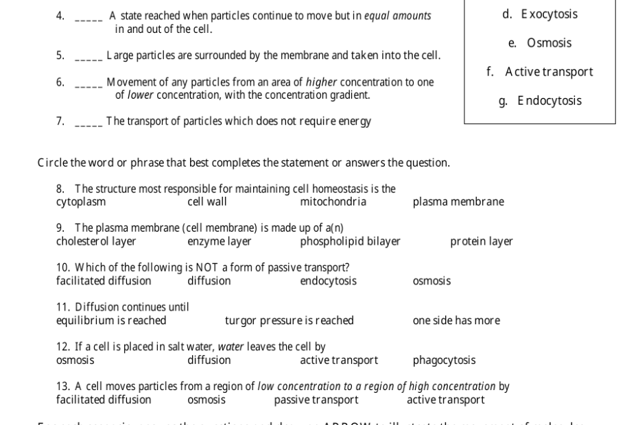 Cell Transport Biology Worksheet Download Printable PDF Templateroller